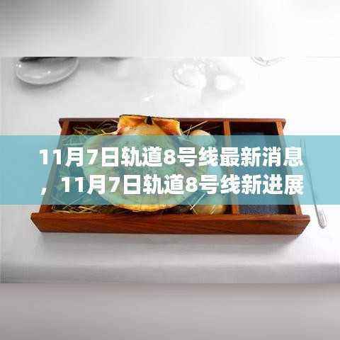 11月7日轨道8号线新进展,变化中的旅程,成就自信与成就之路