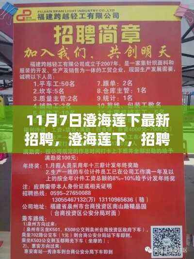 第1138页