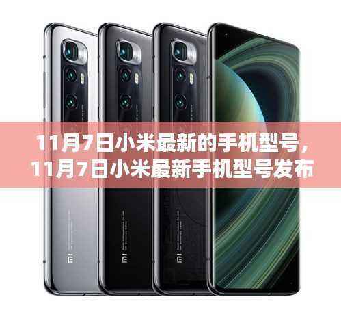 联系我们 第549页