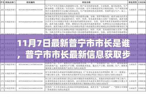 普宁市市长最新信息获取指南,11月7日市长的身份揭秘及初学者进阶用户指南