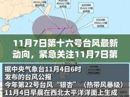 11月7日第十六号台风最新动态解析,全方位关注风暴走向与影响