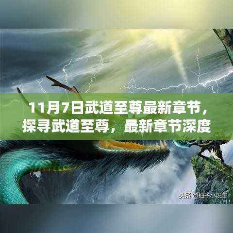 武道至尊最新章节深度解析,探寻武道巅峰之路(11月7日更新)