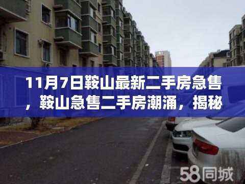 揭秘鞍山急售二手房潮涌背后的故事与影响,最新房源紧急出售,十一月七日市场动态分析