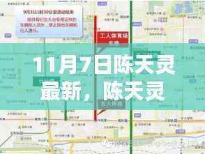 揭秘陈天灵最新动态，11月7日三大看点揭晓