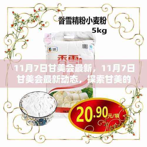 11月7日甘美会最新动态,开启甘美新篇章的探索
