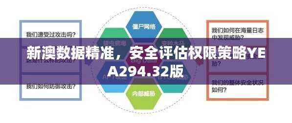 新澳数据精准，安全评估权限策略YEA294.32版