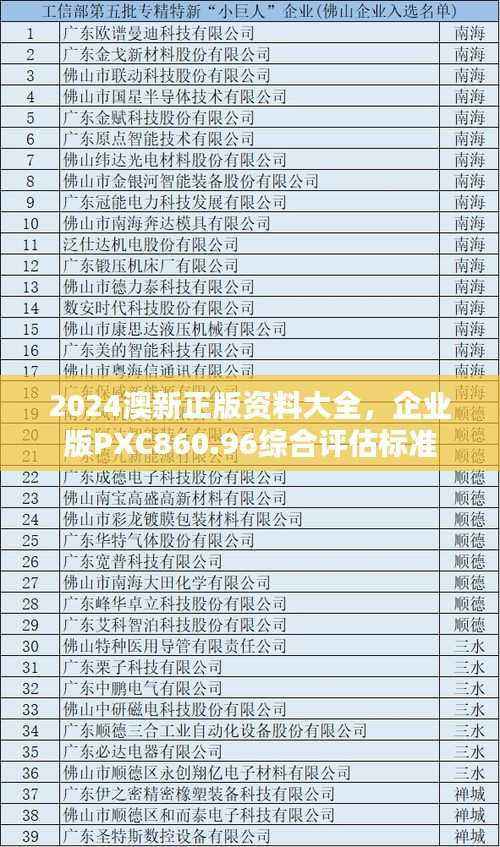 2024澳新正版资料大全,企业版PXC860.96综合评估标准