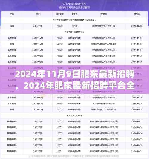 2024年肥东最新招聘平台全面评测,特性、体验、竞争分析与用户洞察
