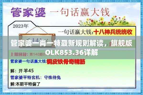 管家婆一肖一特最新规则解读,旗舰版OLK853.36详解
