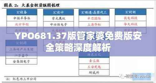 YPO681.37版管家婆免费版安全策略深度解析