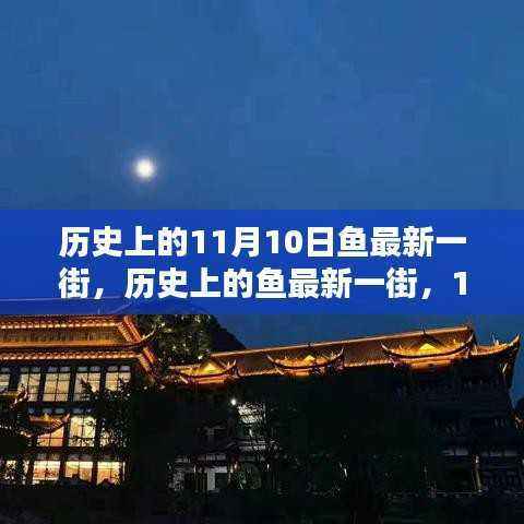 历史上的鱼最新一街,11月10日的独特记忆与影响回顾
