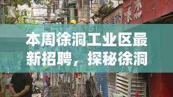 探秘徐洞工业区,小巷特色小店与本周最新招聘盛宴揭晓!