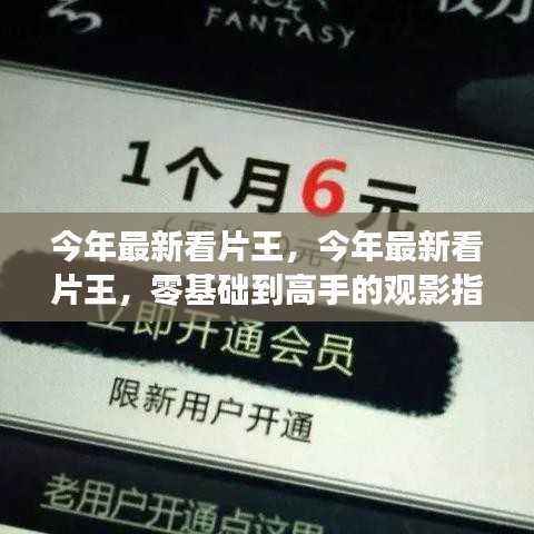 从新手到高手,今年最新观影指南,带你成为真正的看片王