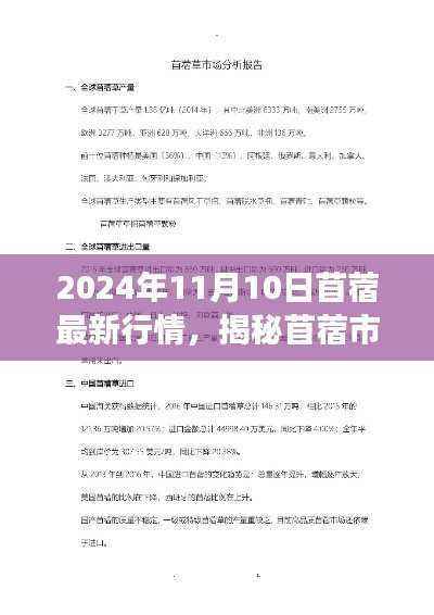 揭秘苜蓿市场走势,最新行情解读与预测(2024年11月10日)