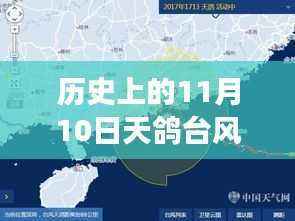 天鸽台风下的友情与陪伴,历史时刻下的温馨日常最新报道