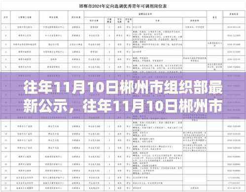 郴州市组织部公示系统评测及特性分析,目标用户的体验与目标洞察报告
