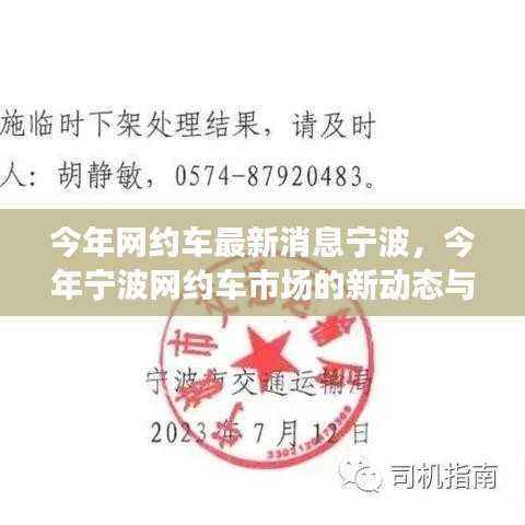 今年宁波网约车市场的新动态与趋势分析,最新消息解读