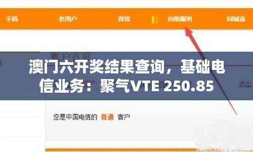 澳门六开奖结果查询,基础电信业务:聚气VTE 250.85