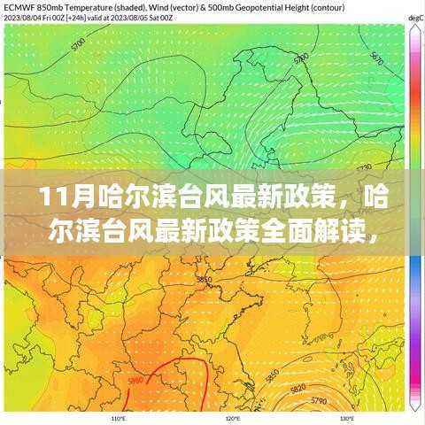哈尔滨台风最新政策解读,特性、体验、竞品对比与用户分析