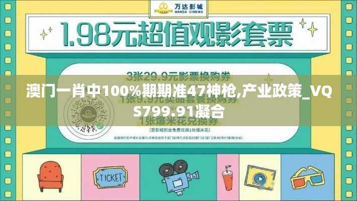 澳门一肖中100%期期准47神枪,产业政策_VQS799.91凝合