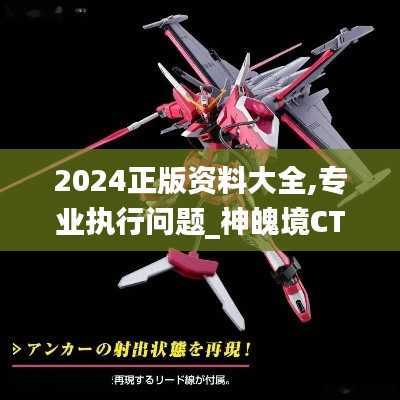 2024正版资料大全,专业执行问题_神魄境CTD144.08