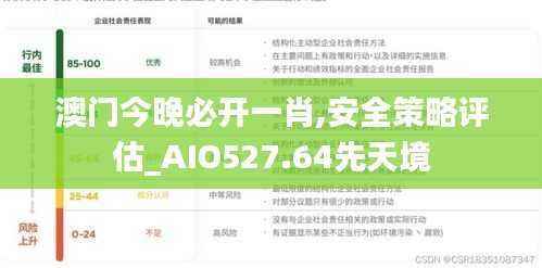 澳门今晚必开一肖,安全策略评估_AIO527.64先天境