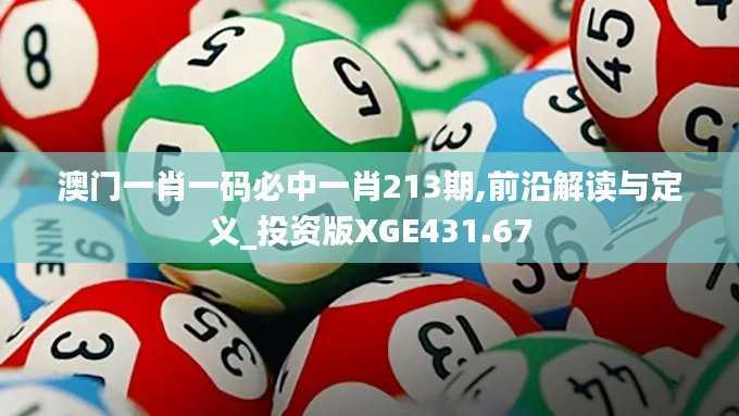 澳门一肖一码必中一肖213期,前沿解读与定义_投资版XGE431.67