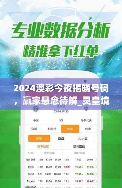 2024澳彩今夜揭晓号码,赢家悬念待解_灵皇境DYM821.09