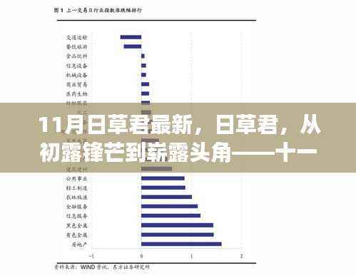 日草君的成长之路,从初露锋芒到崭露头角——十一月回顾与展望