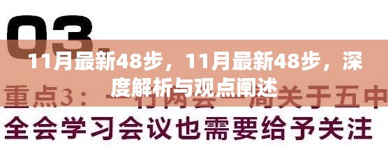 深度解析与观点阐述,最新48步指南(11月版)