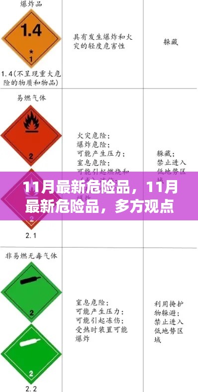 多方观点交织下的探讨与解析,11月最新危险品