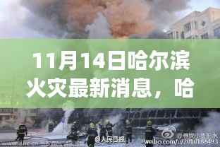 哈尔滨火灾背后的温暖故事,友情、家庭与不屈不挠的陪伴(最新消息11月14日)