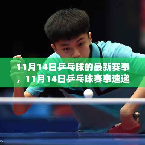11月14日乒乓球赛事速递,热血激战,谁将称雄霸主?