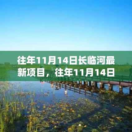 长临河最新项目进展及前景展望,历年11月14日深度解析
