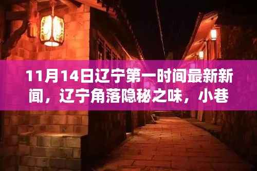 辽宁角落隐秘之味,小巷特色小店探秘记(最新新闻报道)