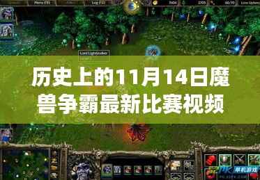 历史上的11月14日魔兽争霸赛事精彩回顾与观看指南
