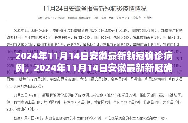 安徽最新新冠确诊病例分析与观察,2024年11月14日最新报告