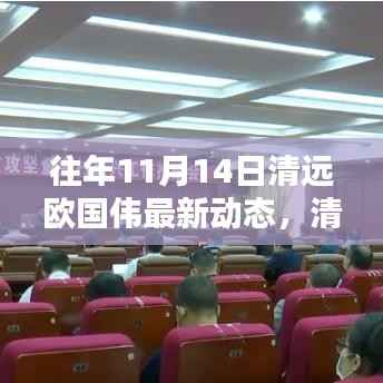 清远欧国伟最新动态揭秘,查询指南与流程掌握