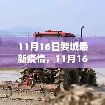 11月16日婺城最新疫情动态,防控进展、生活指南与案例分析