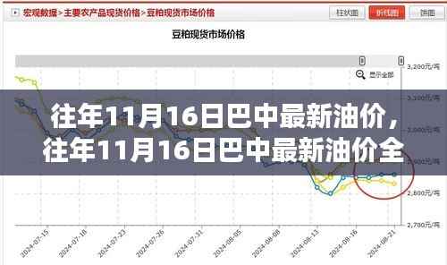 往年11月16日巴中油价概览,最新油价信息与全面评测介绍