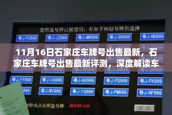 石家庄车牌号最新出售动态深度解读,市场分析与亲身体验分享