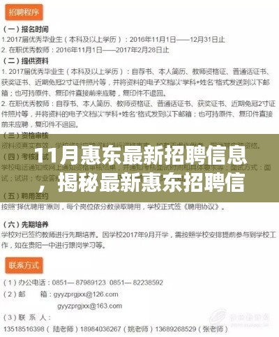 揭秘最新惠东招聘信息,职场人的十一月求职指南与求职攻略