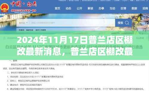 普兰店区棚改最新动态,深度解读2024年11月17日更新消息