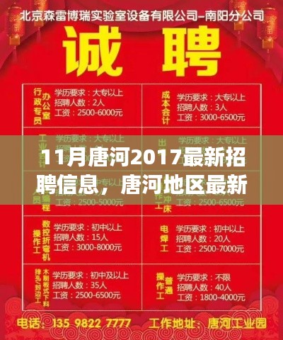 探寻唐河地区最新招聘动态,人才盛宴背后的故事与影响