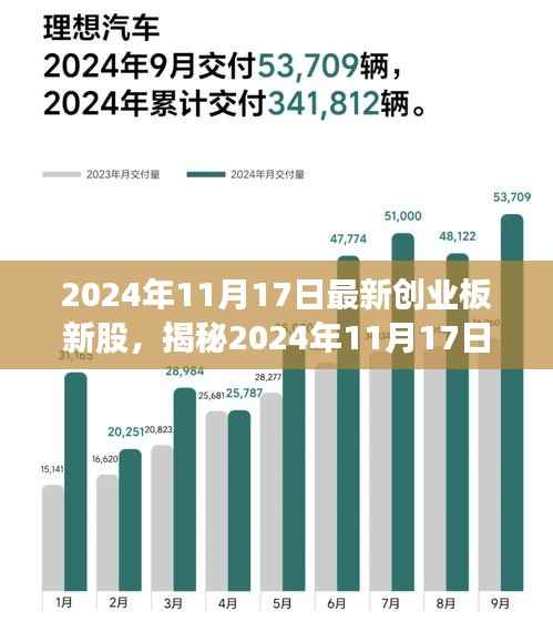 揭秘最新创业板新股,深度解读三大要点,尽在2024年11月17日新股动态