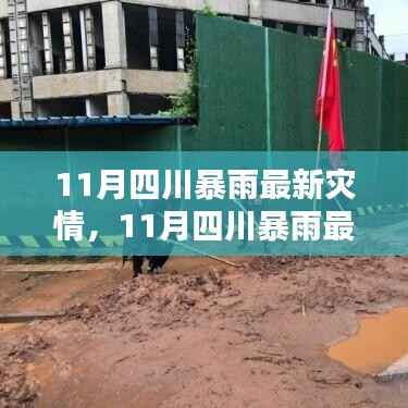 深度解析与案例分析,11月四川暴雨最新灾情