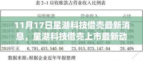 揭秘星湖科技借壳上市最新动态,重磅消息揭秘,最新消息一览(11月17日)