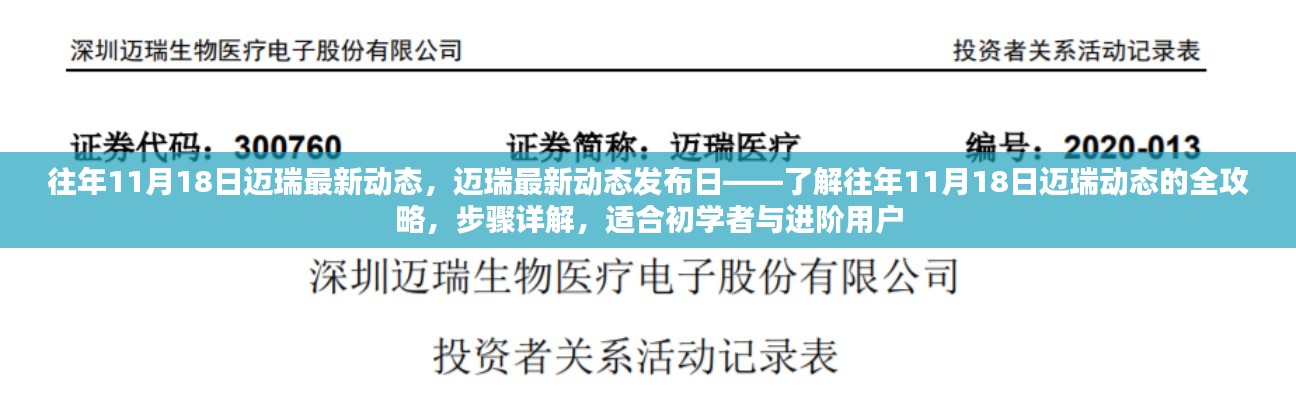 迈瑞最新动态发布日揭秘,往年11月18日迈瑞动态全攻略,步骤详解供初学者与进阶用户参考