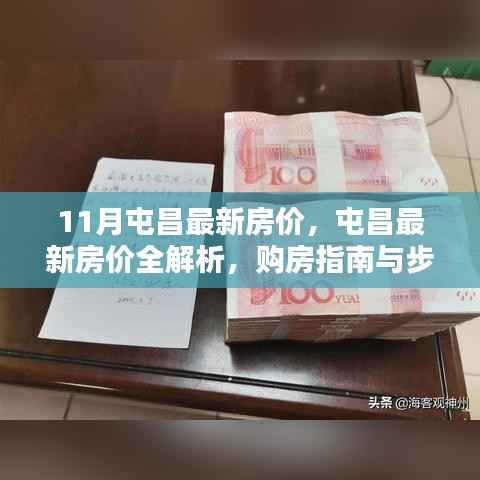 屯昌最新房价解析及购房指南,全面洞悉购房步骤与细节