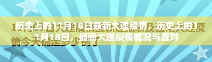历史上的11月18日大理疫情最新概况与应对策略